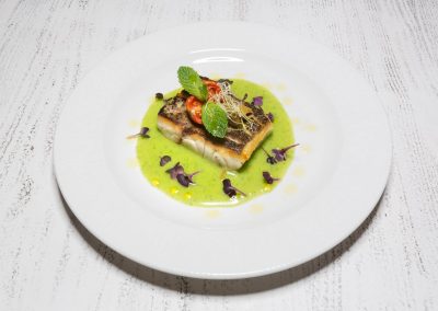 13767151_266640253716686_4401277552352620715_o